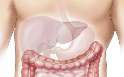 La importancia de depurar el hígado
