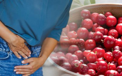 ¿El arándano rojo es útil en la cistitis?